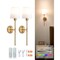 Set of 2 Rechargeable Wall Sconce Lights, Battery Powered RGB Wall Lamps with Remote and Timer